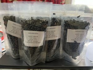 Sunflower seeds for plantation