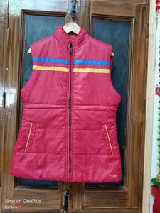 Winter Wear New Puffy Jacket
