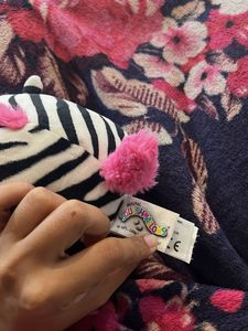 tracey the zebra