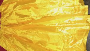 Lehanga And Dhuppatta No Blouse Botique For Sale