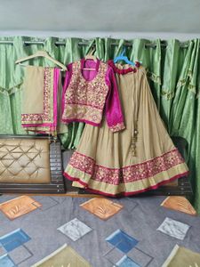 Embroidered Lehenga Choli Set