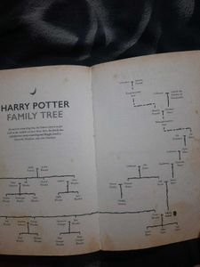 Harry Potter and the Cursed Child
