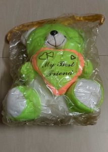 Green Teddy