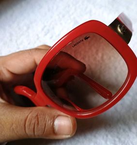 Lacoste Sunglasses