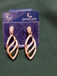 Earnings