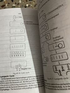 Cell Biology Book