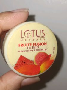 Combo Of 2 Branded Lip Balm