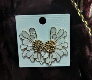 Aesthetic Gold Earrings