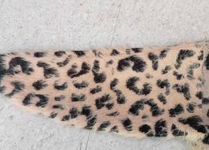 H&amp;M Leopard Print Jumper/Sweater