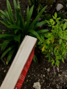 Norwegian Wood - Murakami