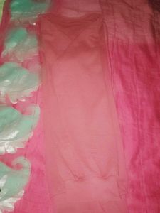 Cotton T Shirt 👕