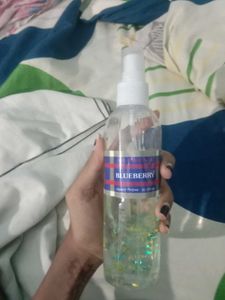 Blueberry Air Freshener