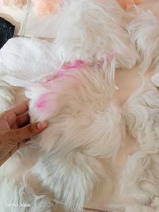 Velvet Piecs/ Teddy Making Cutting