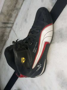 stylish shoes