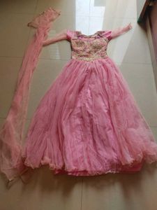 Pink Net Gown