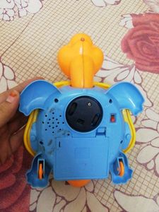 Musical Tortoise