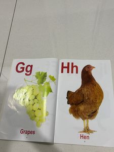 Alphabet Picture Book