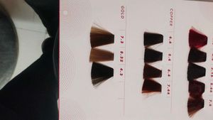 Am Selling My New Streax Colour Card
