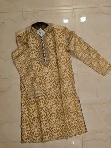 Elegant Ethnic Kurta