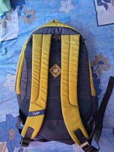 Skybags Backpack