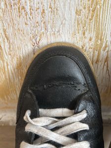 Converse All Star Sneakers