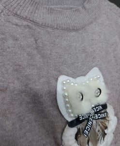 Cute Owl Embellished Sweater