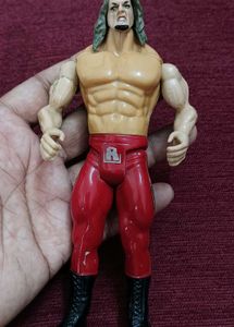 WWE Action Figures