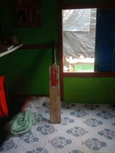 Cricket Bat