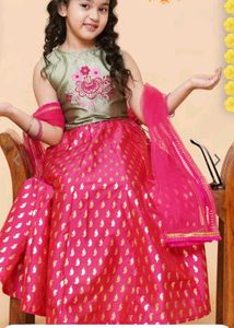Floral Embroidered Lehenga Choli
