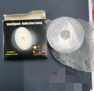 Body Sensor Light, Automatic Light