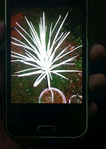 Samsung Galaxy J2