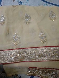 Elegant Embellished Saree