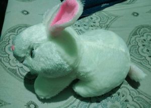 Cute Plush Bunny