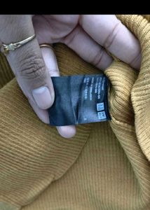 ZARA BASICS + Uniqlo High Neck