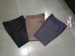 Trouser Pant