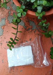 Goat Milk Soap