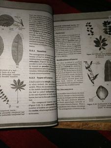 Physics And Chemistry NCERT Textbook