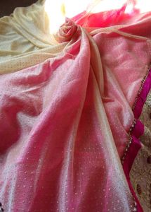 Elegant Pink &amp; Gold net saree
