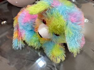 Rainbow Plush Puppy