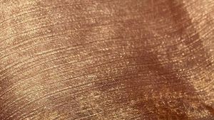 Copper Shimmer Saree With  Blouse