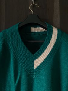 Green Sweater 🦖