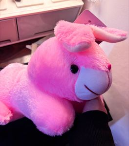 Pink Plush Bunny - New with Tags!