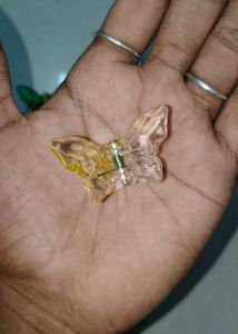 Mini Glass Butterfly Clutch