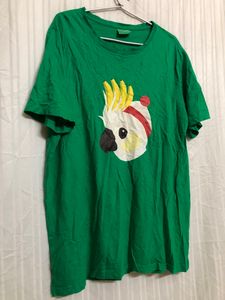 Woolworths Green Short Sleeve T Shirt