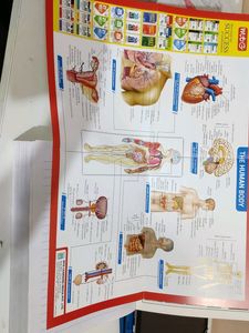 ncert at your fingertips biology neet