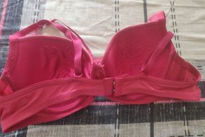 Wired Padded Rani Pink Bra With Lace Detail