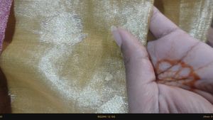 Brand New Elegant Saree