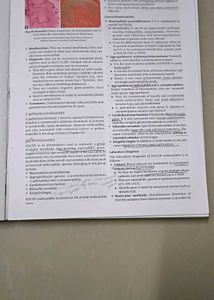 Medical Microbiology Textbook - Third Edition