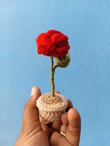 Rose pot