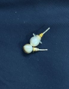 Warm Toned Cloth Pearl Studs